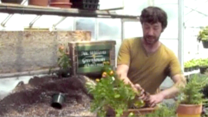 Chad Therrien of Mt. Williams Greenhouses describes how beautiful and flavorful herb gardens can be; video capture by Jason Velazquez