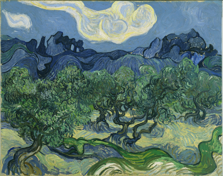 The Olive Trees, Vincent Van Gogh, 1889; oil on canvas;, Museum of Modern Art, New York
