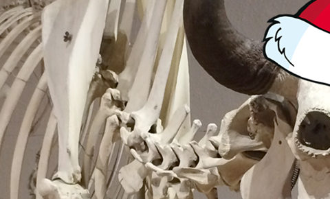 The Festival of Trees, 2015: Westward Ho, Ho, Ho! is a rich tapestry of all aspects of life in the Old West, including the near extinction of the American bison; photo and manipulation by Jason Velazquez.