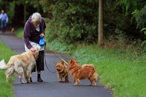 The "gig economy" is driven by the availability of generally unpredictable, freelance opportunities, such as dog walking an errand running, that are cobbled together by retirees, students, and workers unable to secure stable full-time positions.