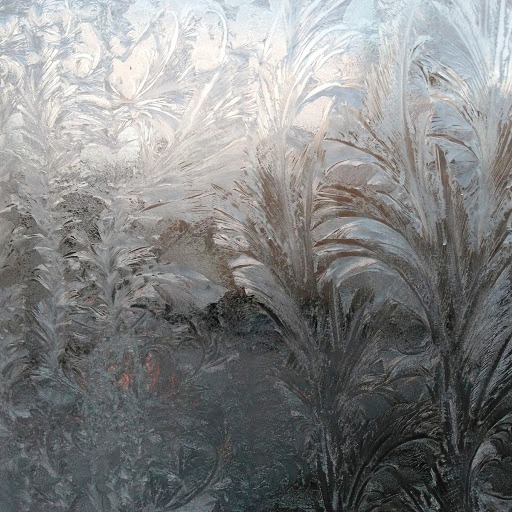 Ice garden on a very old (1847) north-facing window of Lawrence Hall, home of the Williams College Museum of Art.