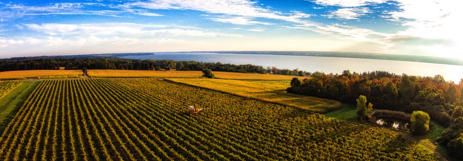 The Finger Lakes region has been one of most beautiful wine country settings in the world; photo courtesy Knapp Vineyard.