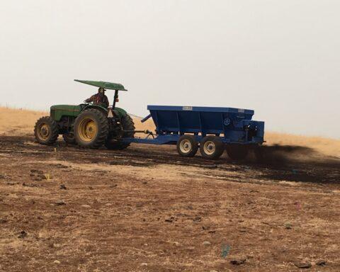 Shaw is studying compost additions to rangelands to determine the effects on soil carbon and plant growth. Compost also changes the soil food web – including the numbers and diversity of nematodes