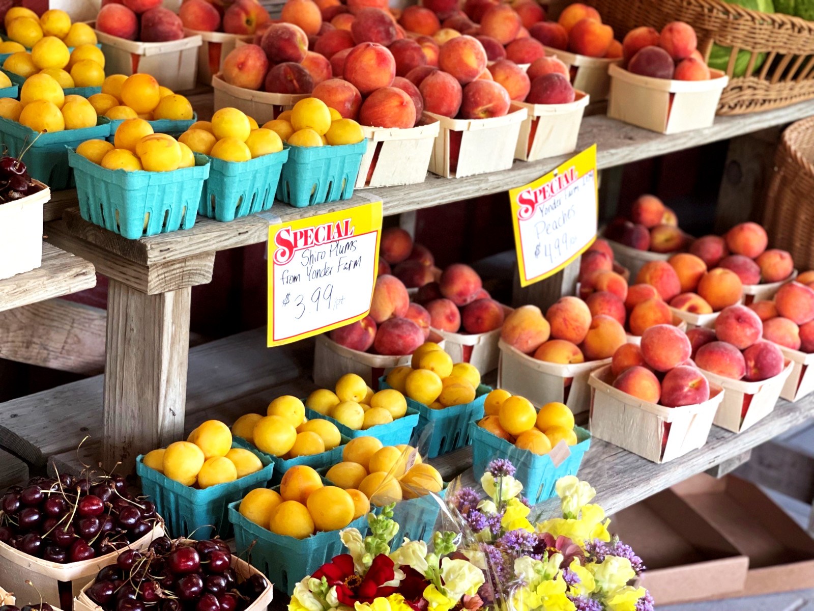 Photo of shelves filled with cartons of tree fruits and flowers.