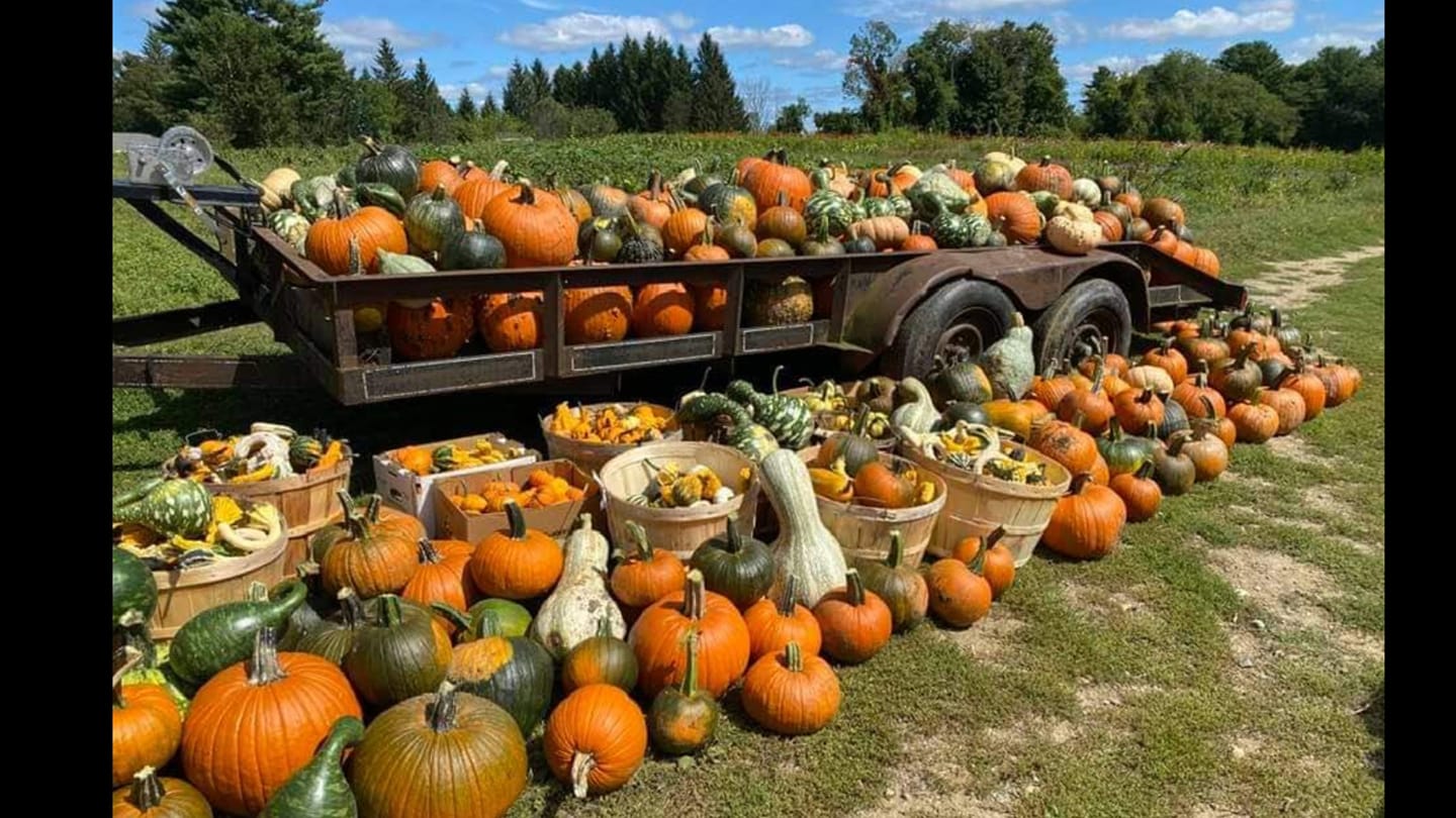 Decorative pumpkins and gourds can be as lucrative as many food crops.