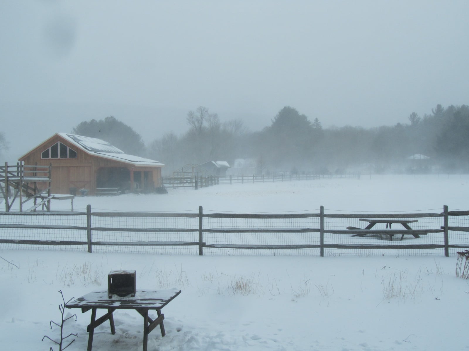 Photo of a pasture enclosed by a split-rail fence with a stable at the left end in the middle of a snowstorm with wind blowing fiercely.