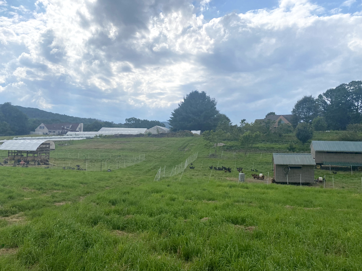 Distance photo of some of the pastures and outbuildings of Red Shirt Farm.